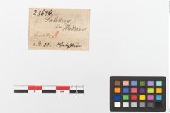 Etiketten zu Schleifstein (NHMW-PRAE-023670)